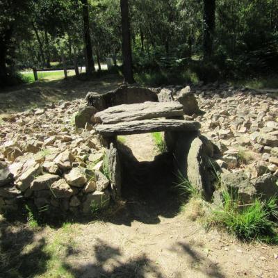 site mégalitheques de monteneuf  318